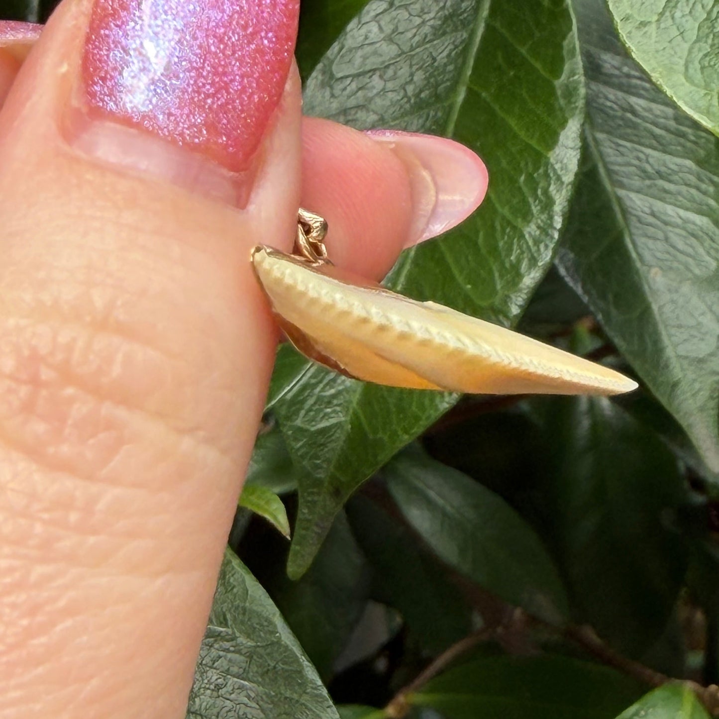 18K Old Vintage yellow gold real Shark tooth pendant
