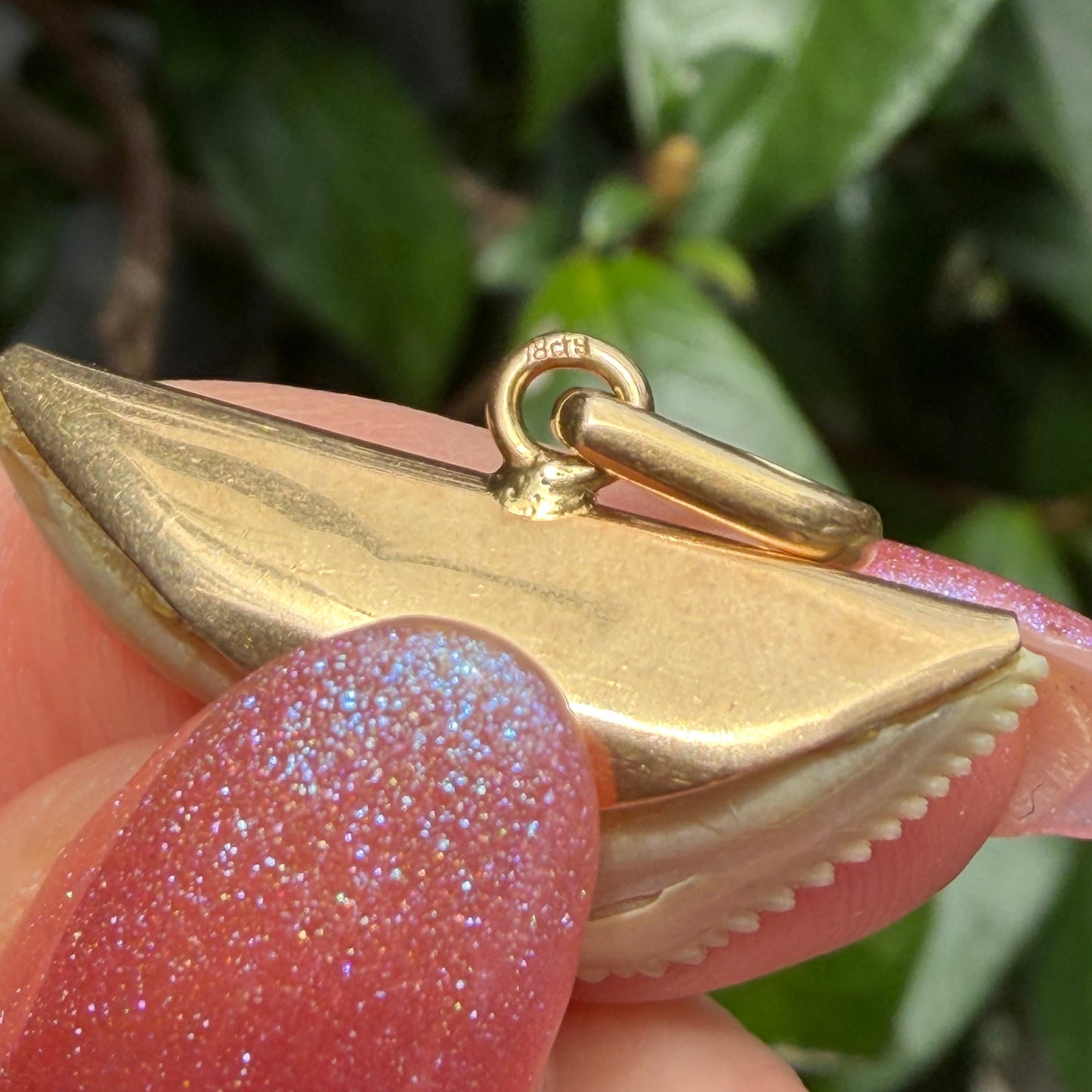 18K Old Vintage yellow gold real Shark tooth pendant